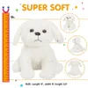 30 cm Musik White Dog Doll Led Lysande fyllning Animal Plush Toy Rabbit Hair Gold-Plated Dog Luminous Gift 240424