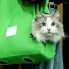 Cat Carriers Cats Bag voor uitje uit Pet Small Go Out benen