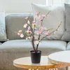 Fleurs décoratives 1pc-37 cm de prune simulées de salon de salon décoration réelle tactile fleur artificielle cadeau de la fête des mères