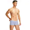 Underpants Men's Woven Fashion Vertical Stripe Aro Pants For Young Boy Low Waist Sexy Boxer Shorts Youth Bottom Lingerie