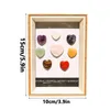 Frames Crystal Gemstones Box Organizer för Stones Storage Rock Collection med 8 hjärtformade kristaller Display