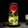 Valentine039s Day Geschenk Beauty und Biest Blume Rose in Glas Dome LED Lampe Dekoration für Freundin4619912