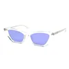 Zonnebril voor mannen Dames Theo Fashion Super Designer Stijlvolle High Street Summer Beach Style Anti-ultraviolet retroplaat Acetaat Frame Glazen willekeurige doos