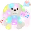 30 cm Musik White Dog Doll Led Lysande fyllning Animal Plush Toy Rabbit Hair Gold-Plated Dog Luminous Gift 240424