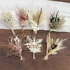 Dekorative Blumen Hochzeitsvorräte Pampas Herbst Dekor erhalten natürliche getrocknete Mini Bouquet Country Tischdekoration Accessoires