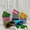 Plastic Handmade Diy Bag Woven Bag Vegetable Basket Gift Children's Bag Small Square Bag Woven Basket Bag Handbag