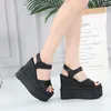 Scarpe eleganti 14 cm Versione primavera ed estate coreana di sandali femminili pesce boccola tallone a cuneo spesso pantofole con tacco alto