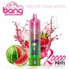 Bang 20000 Puffs E-liquide Capacité de 25 ml de batterie Capacité de batterie 850mAh Puffes 20000 Type C Charge Bang 15000 Puffs Bang Box