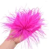 Broches Natural Feather Autruche Broche légère antidérapante Vcement Hat Hat Sac Décoration Prom de mariage