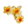 Clipes de cabelo Flores de praia exclusivas Claw Barrettes Acessório Ornamento colorido feminino feminino 4xbf