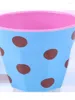 Tasses cinq harmonie amine water cup