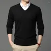 Chandails masculins 2024 Marque de mode de haute qualité Pulpose en tricot en laine V Pull de cou noir pour hommes Autum Hiver Casual Jumper Vêtements