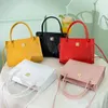Сумки для сумки на плечах сумочка женщина 2024 Корейская версия тренд мода простая повседневная одноруба