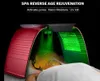Портативный PDT Светодиодная светотерапия кожа омоложения полюсной лампы 7 Цветов Пон салон салона для лица Spa Machine9035232