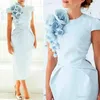 Bleu clair Mother of the Bride Robe Prom Flowers Crew Neck Cours Couchés CHEURES MARIAGES AUX ROBRES D'UNESSE 214Y