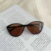 Okulary przeciwsłoneczne Modne retro kota oko oka przeciwsłoneczne damskie owalne rama z prostym designem Uv400 Sun Visors Summer Trent Outdoor Travel szklanki J240508