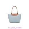 Les magasins de sacs de créateurs sont à 95% de réduction sur Falong Xiang 70e anniversaire Classic Nylon One épaule Tote Tote Underarm Mommy pliing shopping24la