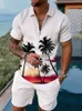 Sommer Beach Element 3D Print Herren Sweatsuit Set Casual Reißverschlusskragen Polo -Hemd und Shorts 2pcs Sets Mode Man Clothing 240507