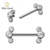 Nipple Rings Right Grand ASTM F136 Titanium 14G Nipple Barbells with CZ Bezel Set Internally Threaded 3-CZ Curve Ends Nippleshield Piercing Y240510