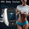 Vente chaude 2/4 Poignées RF EMS SLIM SCULPT CORPS CONTROUR CONTOURS SCULPTURE Stimuleur du corps Sculpt 13 Tesla Machine d'élimination des graisses Tesla