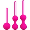 Réglez la balle intelligente en silicone Smart Kegel Ben Wa vagin serrer la machine d'exercice vaginale Geisha Sex Toys for Women2366893