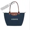 Les magasins de sacs de créateurs sont à 95% de réduction sur Falong Xiang 70th Anniversary Classic Nylon One épaule Tote Tote Underarm Mommy pliing shopping0oa4