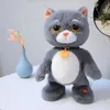 Tabby gato de gato eléctrico Tabby bailando y cantando gato enchufe muñeca juguete boy boy de animal