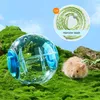 Chomika Ball Ball Toy dla chomików Gerbils 18 cm Koło ćwiczeń 240510