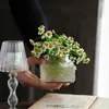 Vasen Retro Glass Vase Blume Hebebild Dekoration Langflasche großer Durchmesser