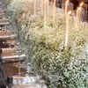 Fiori decorativi 100g Bisth's Breath Bouquet Bianco Bull secco Real Gypsopila Natural Gypsopila Branche