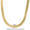 Designer Trendy Chain Metal Mesh Woven Snake Bone Chain High-end Feeling Nisch Titanium Steel Necklace Womens Instagram Style LBQ9
