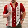 Мужские рубашки T Plus Tees Polos 24 Летовые новые гавайские мужские легкие зрелые 3D 3D цифровые печати повседневная пляжная рубашка плюс футболки