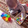 Детские навыки, подходящие для игры, обучение для детей, подсчет игрушки красочные плюшевые шарики Сортирующие игры Монтессори Раннее образование игрушка 240509