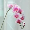 Decorative Flowers 3D Printing 9 Phalaenopsis Butterfly Orchid Artificial Home Decor Wedding Party Decoration Vase Plants Flores