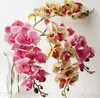 Une véritable touche orchidées papillon phalaenopsis whitefuchsiapinkyellow les fleurs d'orchidées artificielles artificielles pour décoration de mariage t198033823