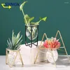 Vases 1pc Nordic Art rétro Retro Hydroponic Plant Iron Vase Very Verre Fleur de terrarium pour décoration de maison Ornement artisanal