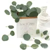 Fleurs décoratives 20pcs Eucalyptus laisse une feuille artificielle pour la décoration intérieure de mariage mariage décoration fausse plante couronne d'artisanat Garlands