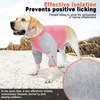 Couvre-chiens de vêtements pour chiens couverture du ventre complet Perte anti-cheveux Coton à rayures solaires pour moyen grand