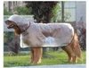 Hundekleidung süßes Haustier Regenmantelkörper mit Kapuze reflektierender Nachtleuchte doppelte wasserdichte Bärenform bedeckt