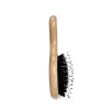 Novo Mini Beauty Beauty Hairbrush Scalp Massage Brush pente penteEscova de cerdas de javali natural