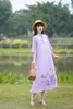 Robes de fête Style chinois Hanfu Summer 2024 Robe brodée ethnique Broidered Zen Long Elegant Fashion Stand Collar Vêtements