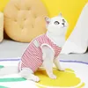 Vêtements pour chiens à rayures à rayures à rayures Pyjamas de stérilisation de chat