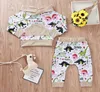 Baby boy kleding set klet dinosaurus geprinte capuchon tops broek twope oce set kinderen vrije tijd kleren jongens jongensmeisje 03T 078997574