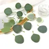 Fleurs décoratives 20pcs Eucalyptus laisse une feuille artificielle pour la décoration intérieure de mariage mariage décoration fausse plante couronne d'artisanat Garlands