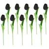 Fiori decorativi 10 pezzi Simulazione di tulipani neri Tulipani decorazioni della pianta bouquet delicata falsa per vaso