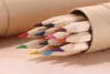 Crayons enfants 12 couleurs crayons crayon ensemble mignon de peinture coréenne outil d'art illustration de couleur professionnelle.