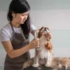 Abbigliamento per cani a pennello elettrico professionale pettine cucciolo cucciolo tacciamo slicer gilling strumento di pulizia rapida per la toelettatura per animali domestici