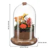 Vases Micro Landscape Moss Cover Succulent Terrarium Plantes Glass Dome Cloche Flower Vase Split