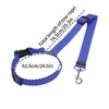 Colliers de chien 1pc fournitures pour animaux