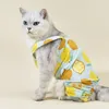 Vêtements pour chien animal kawaii vêtements de printemps d'été chiot de mode Jumps combinais